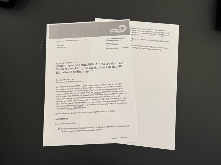 Ratzeburg: Bäume auf dem Marktplatz – Änderungsantrag der Grünen hatte Erfolg